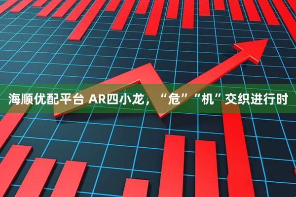 海顺优配平台 AR四小龙，“危”“机”交织进行时