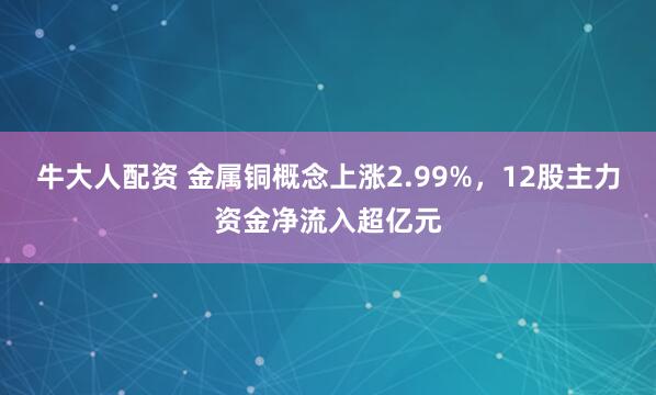 牛大人配资 金属铜概念上涨2.99%，12股主力资金净流入超亿元
